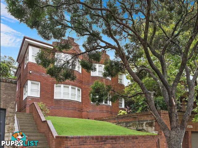 5/17 Ocean Street North BONDI NSW 2026