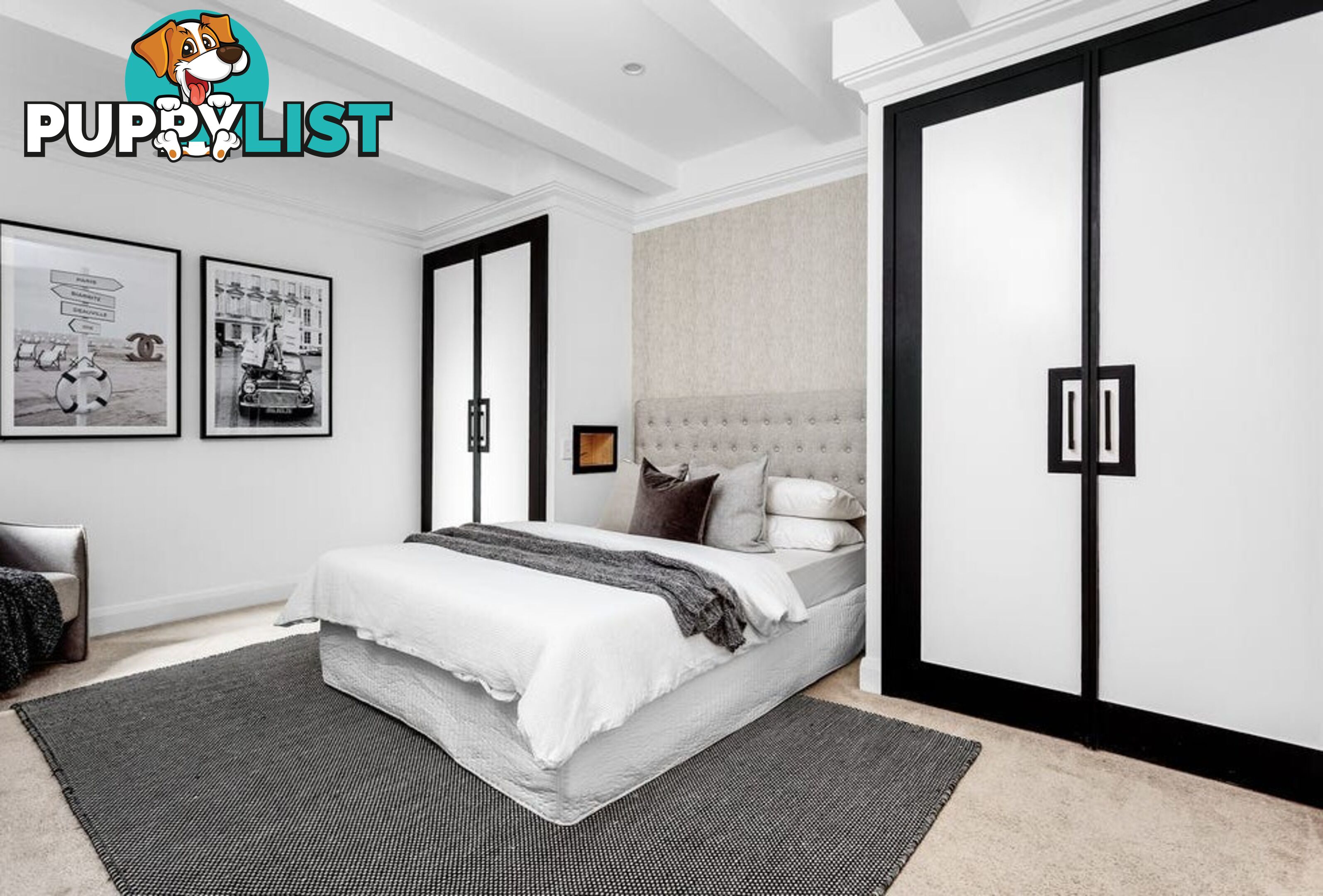 3/213-215 Edgecliff Road WOOLLAHRA NSW 2025