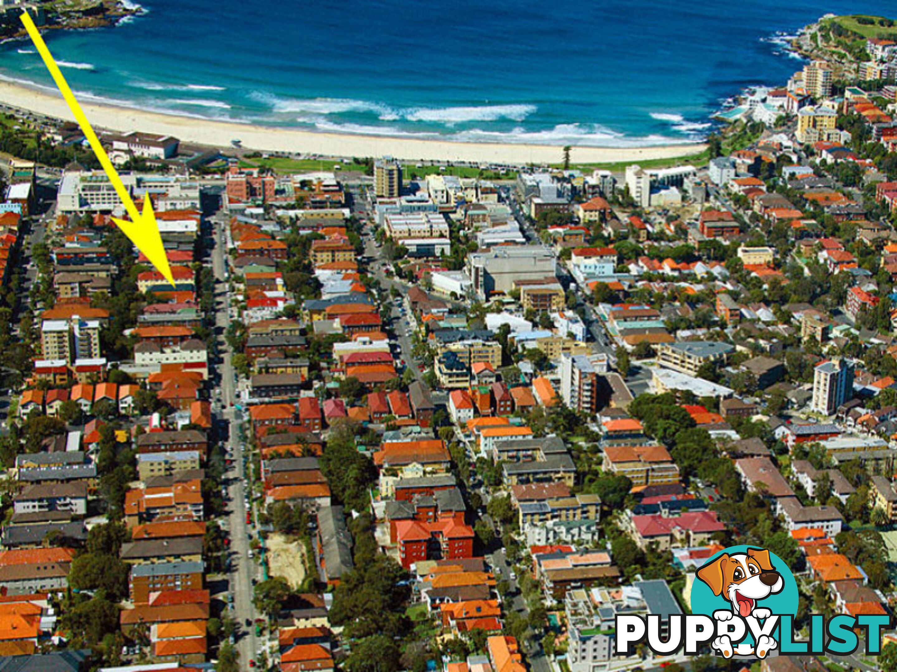 21/106 Curlewis Street BONDI BEACH NSW 2026