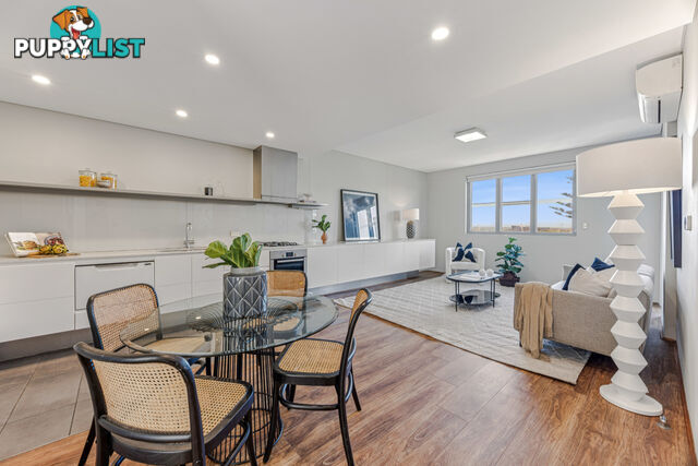 B36/158 Maroubra Road MAROUBRA NSW 2035