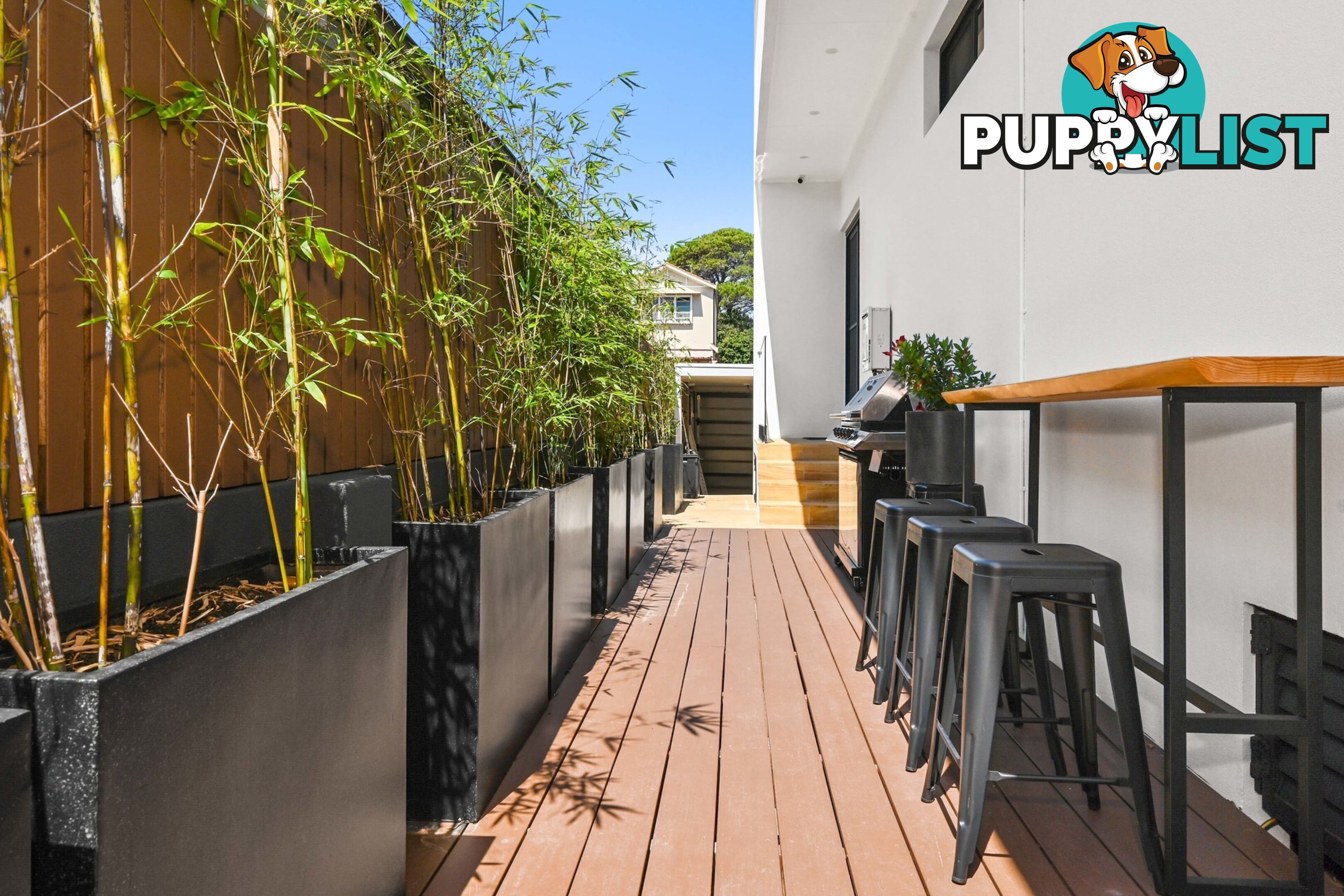 291 Simpson Street BONDI BEACH NSW 2026