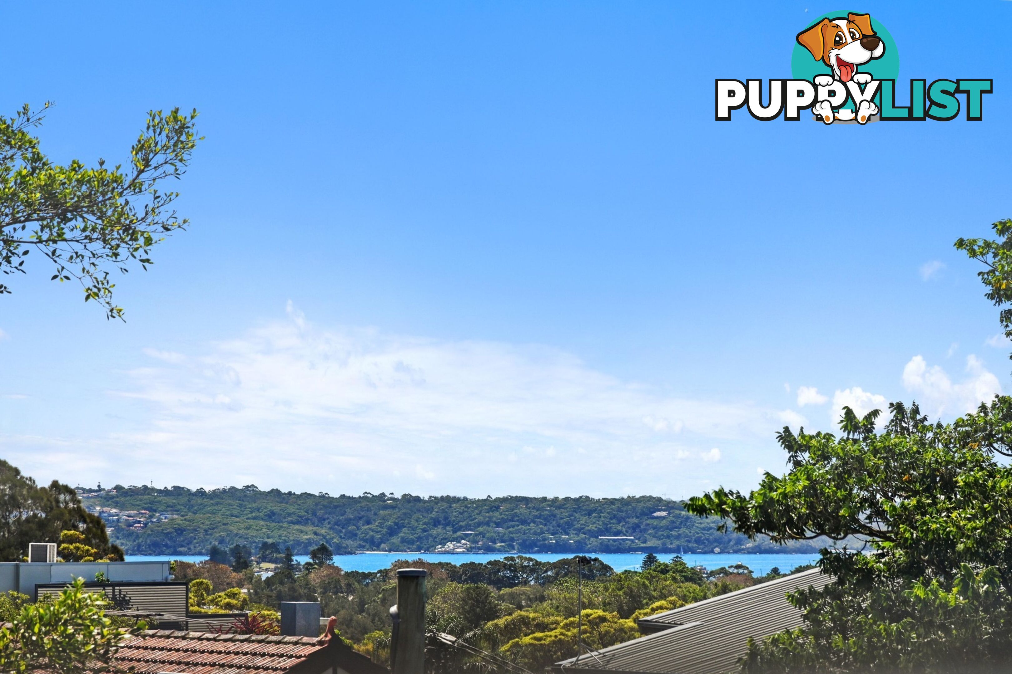291 Simpson Street BONDI BEACH NSW 2026