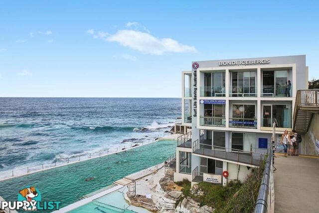 4/6-8 Sandridge Street BONDI BEACH NSW 2026