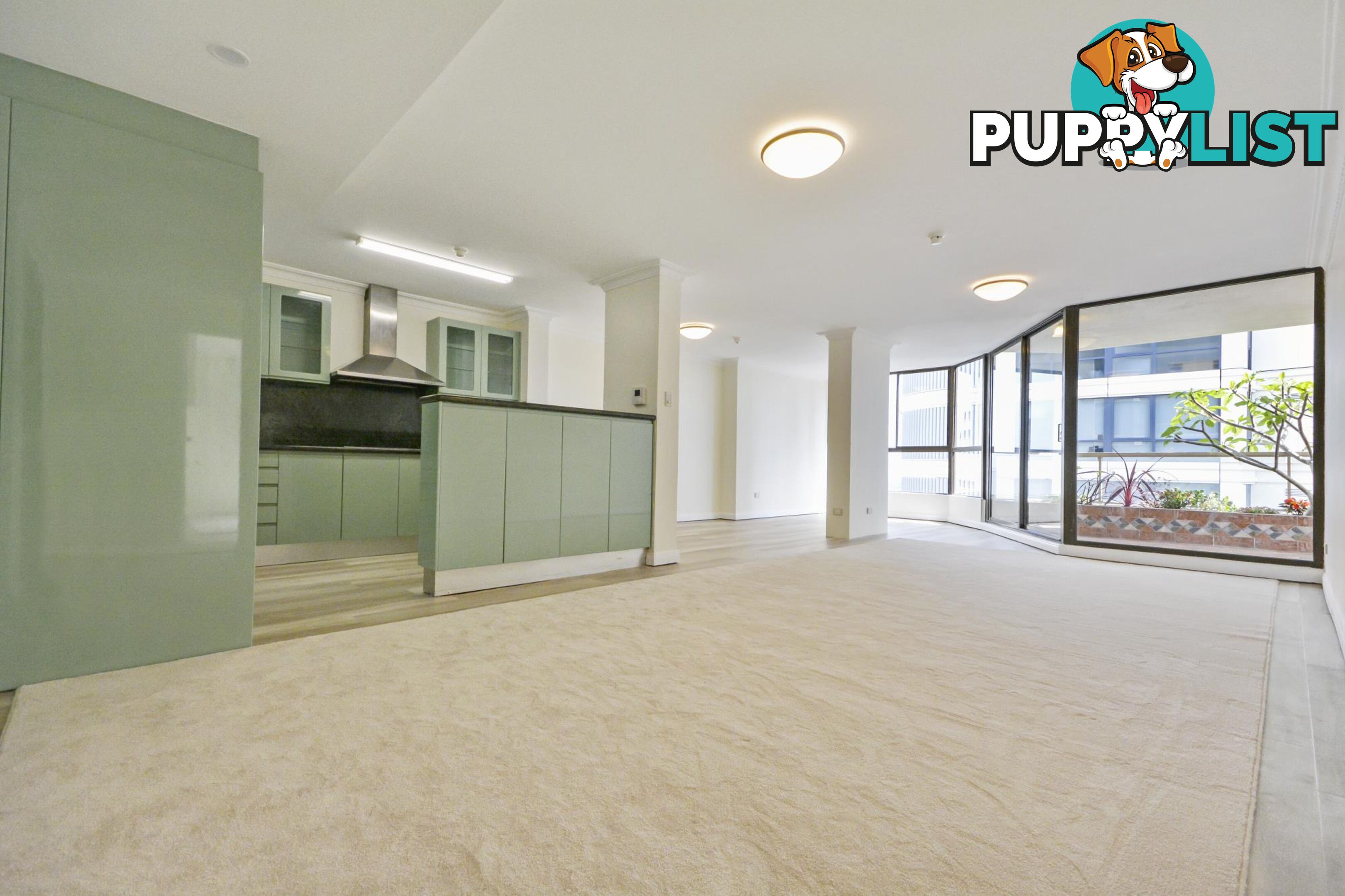 1004/1 Hollywood Avenue BONDI JUNCTION NSW 2022