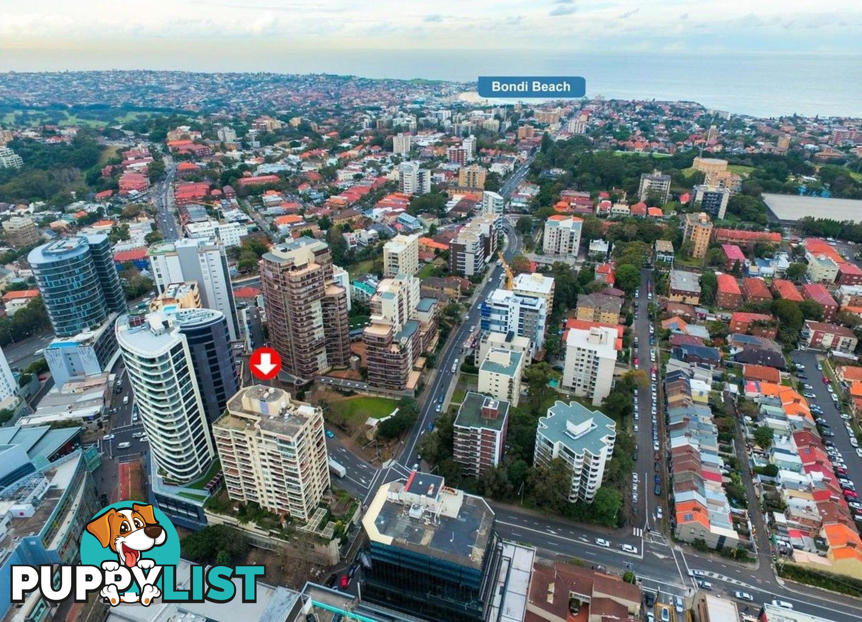 1004/1 Hollywood Avenue BONDI JUNCTION NSW 2022