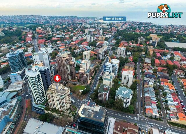 1004/1 Hollywood Avenue BONDI JUNCTION NSW 2022