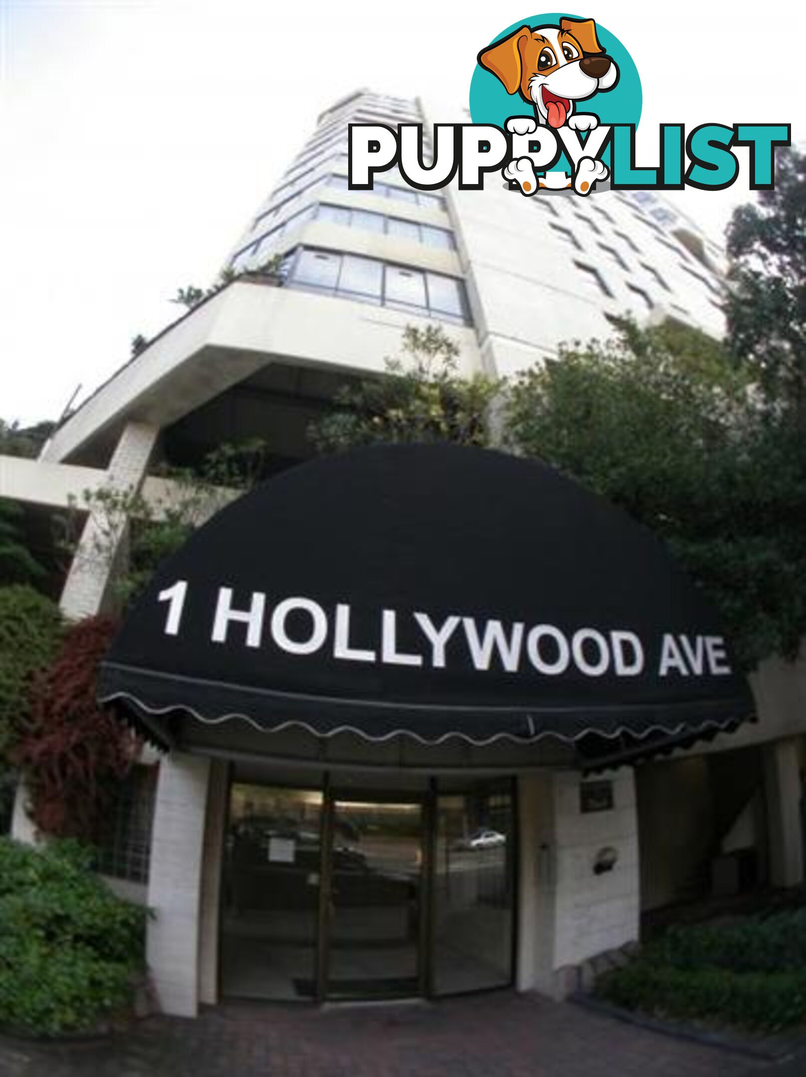 1004/1 Hollywood Avenue BONDI JUNCTION NSW 2022