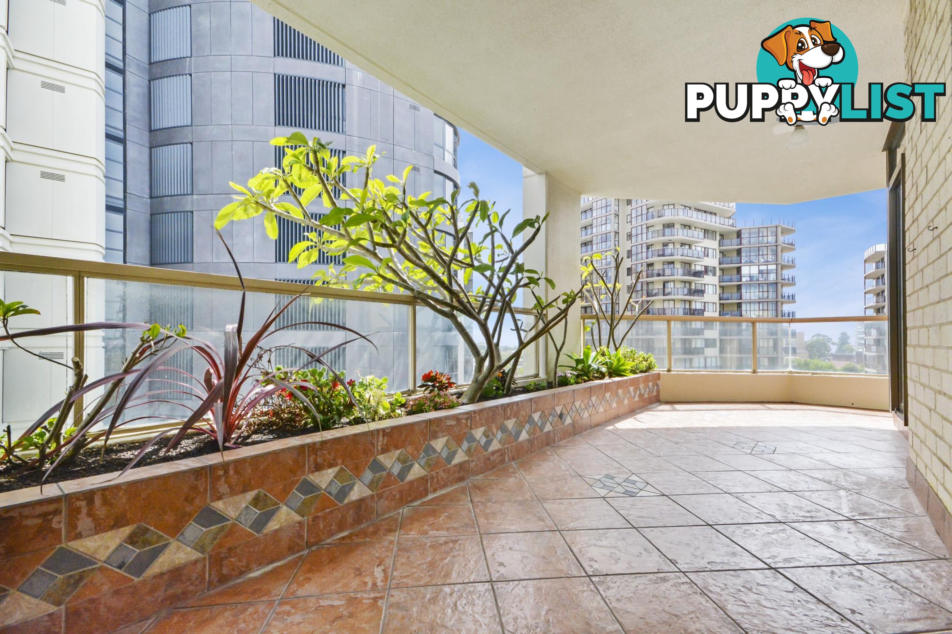1004/1 Hollywood Avenue BONDI JUNCTION NSW 2022