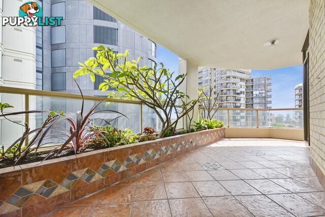 1004/1 Hollywood Avenue BONDI JUNCTION NSW 2022