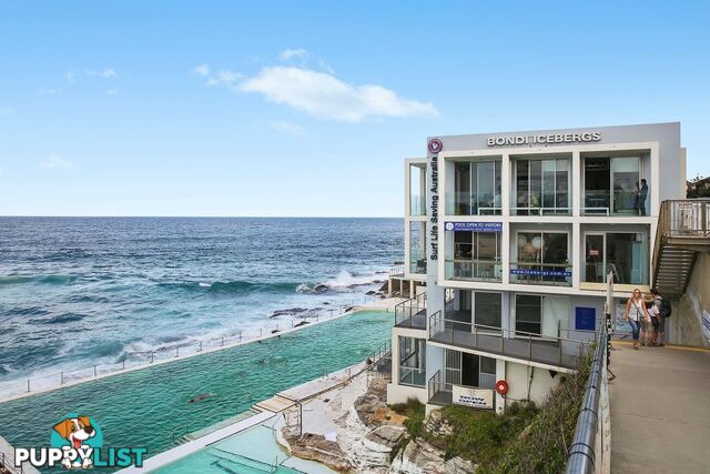 11/18 Edward Street BONDI NSW 2026