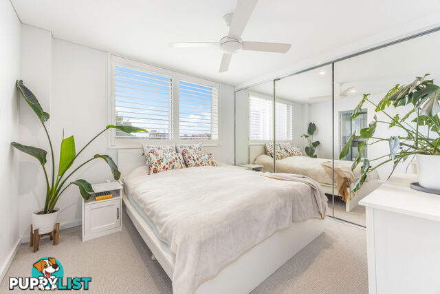 2/36 Bennett Street BONDI NSW 2026