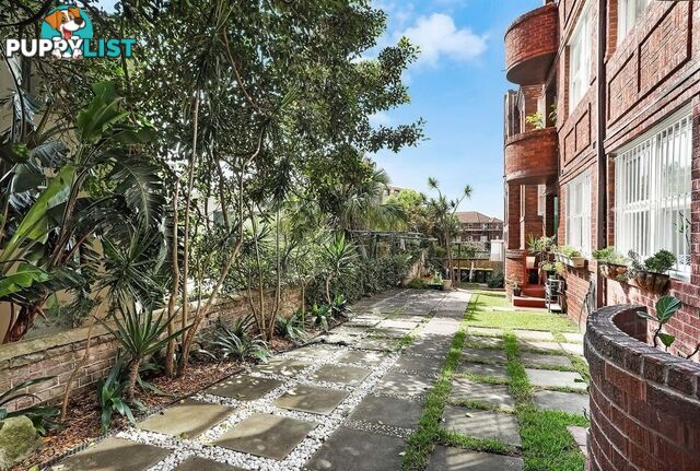 12/40A Birriga Road BELLEVUE HILL NSW 2023