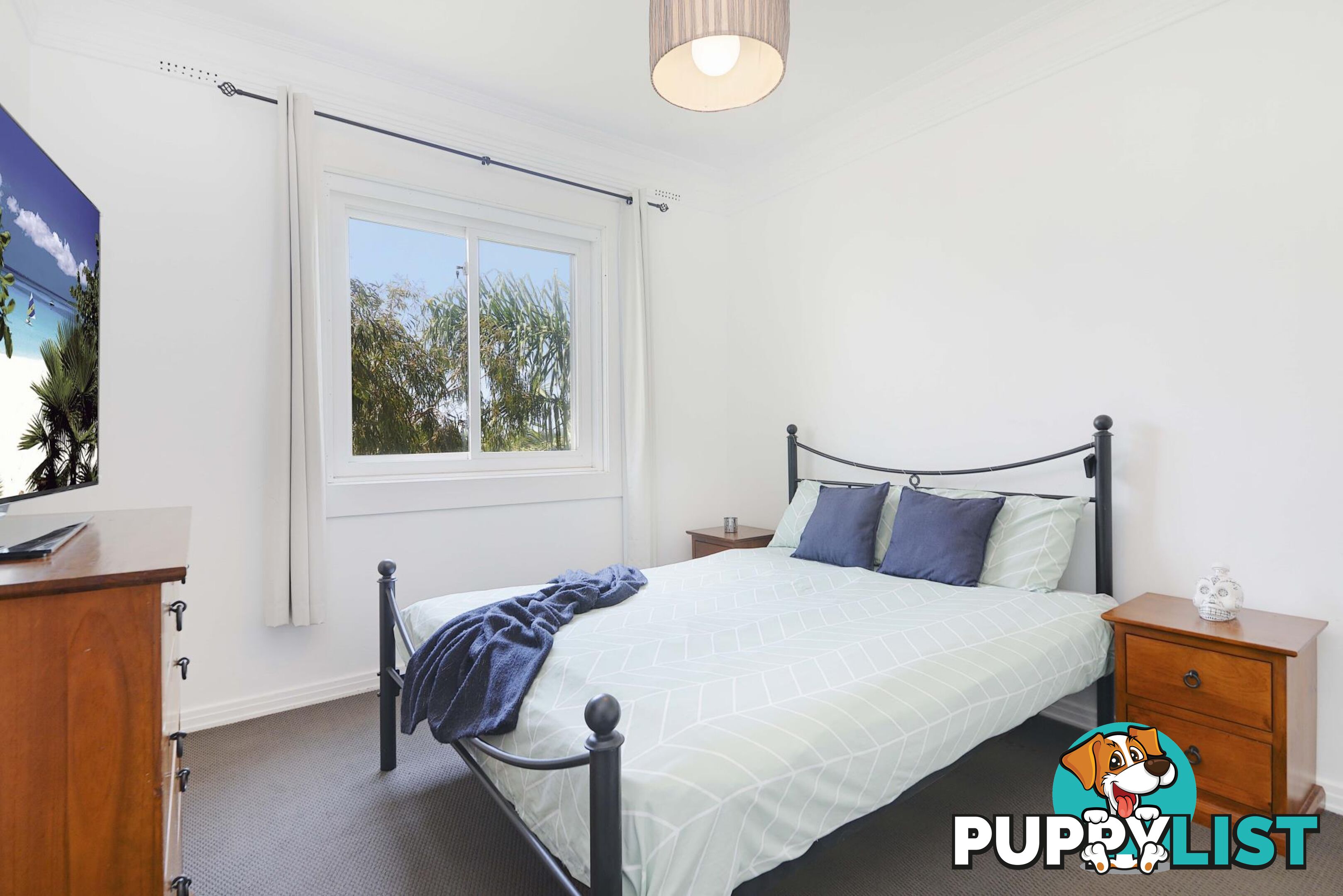 11/65 Birriga Road BELLEVUE HILL NSW 2023