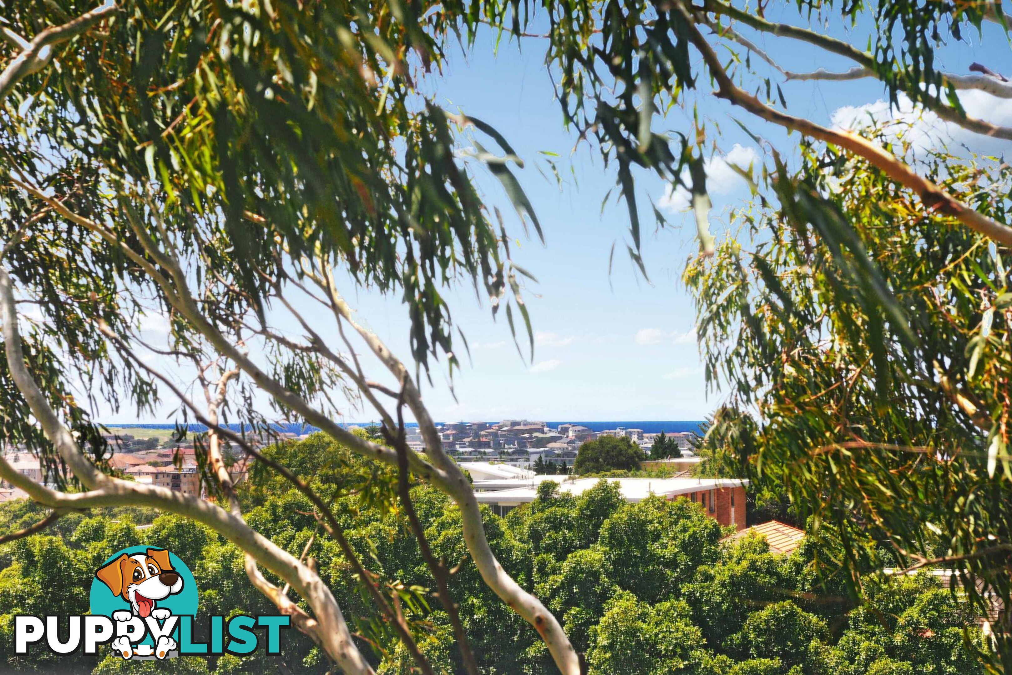 11/65 Birriga Road BELLEVUE HILL NSW 2023