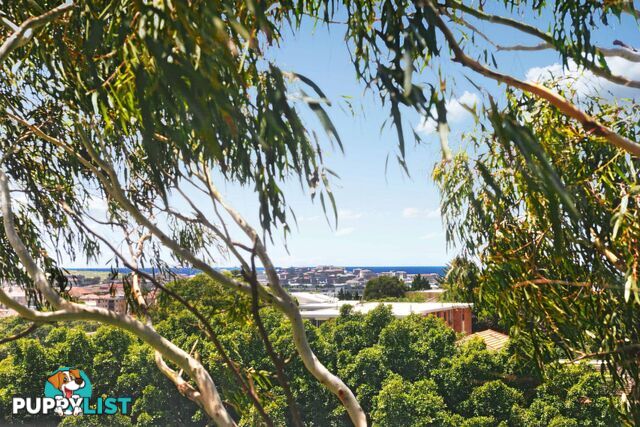11/65 Birriga Road BELLEVUE HILL NSW 2023