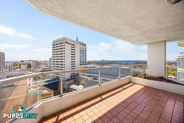 1303/1 Hollywood Avenue BONDI JUNCTION NSW 2022