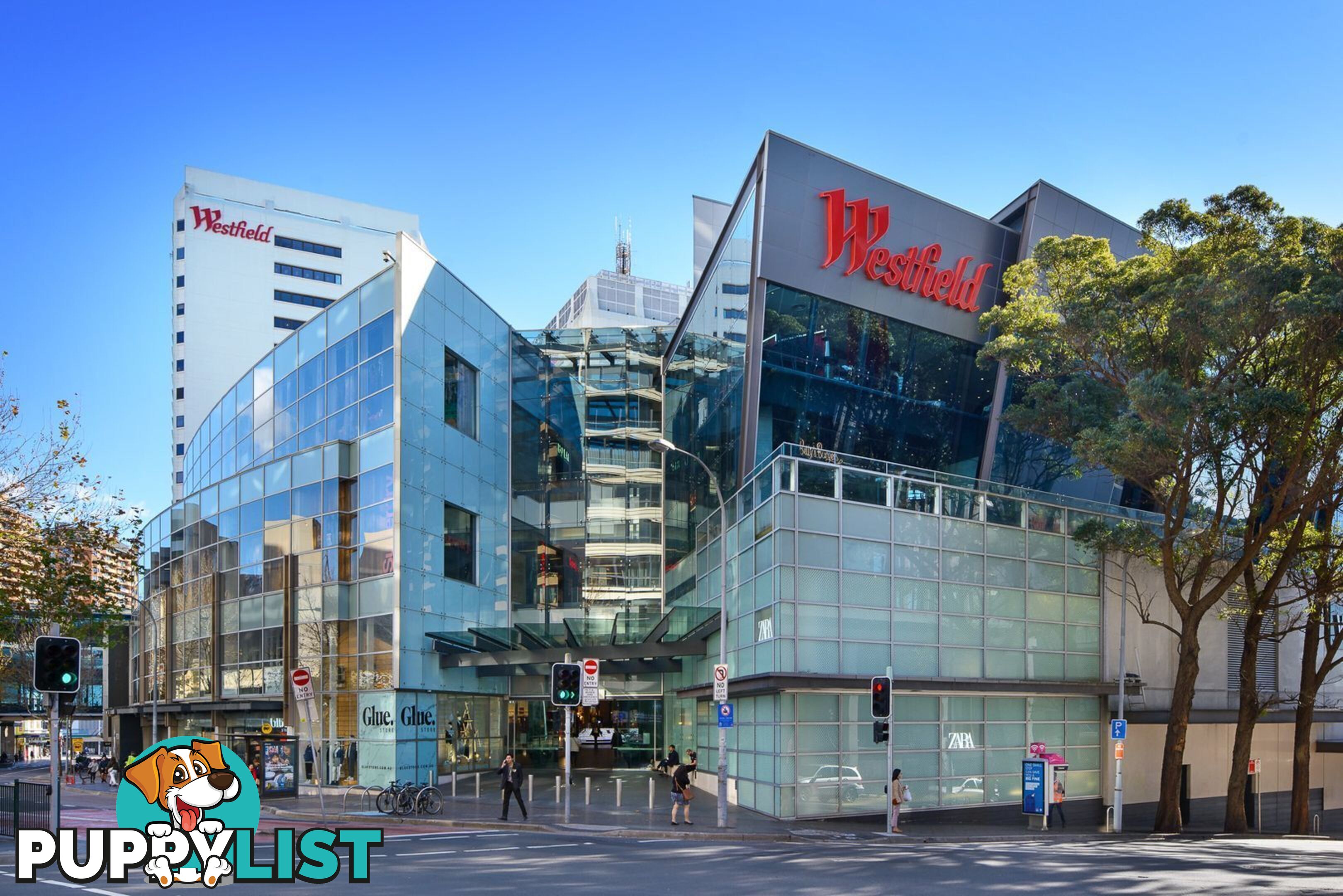 5/11 Porter Street BONDI JUNCTION NSW 2022