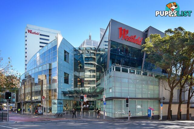 5/11 Porter Street BONDI JUNCTION NSW 2022