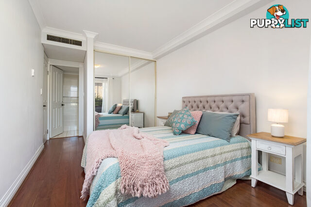 6/39-43 Waverley Street BONDI JUNCTION NSW 2022