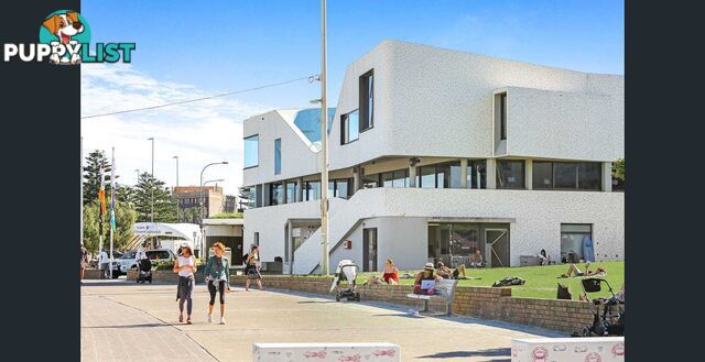 7/183 Blair Street NORTH BONDI NSW 2026