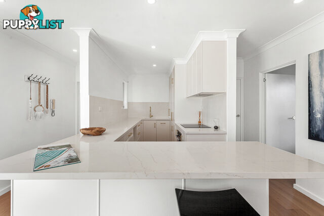 7/183 Blair Street NORTH BONDI NSW 2026