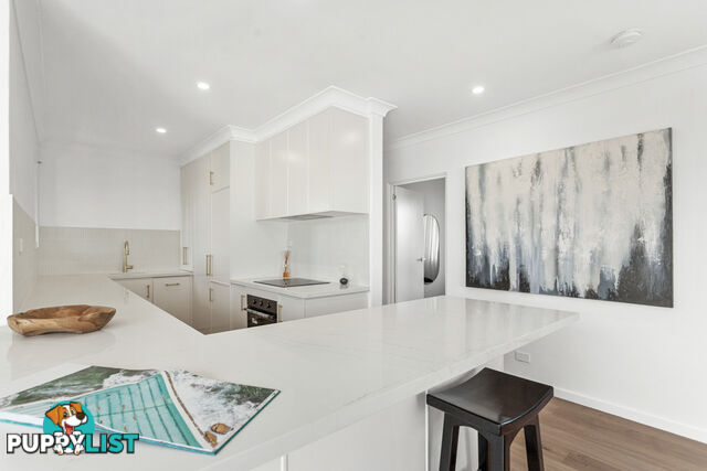7/183 Blair Street NORTH BONDI NSW 2026
