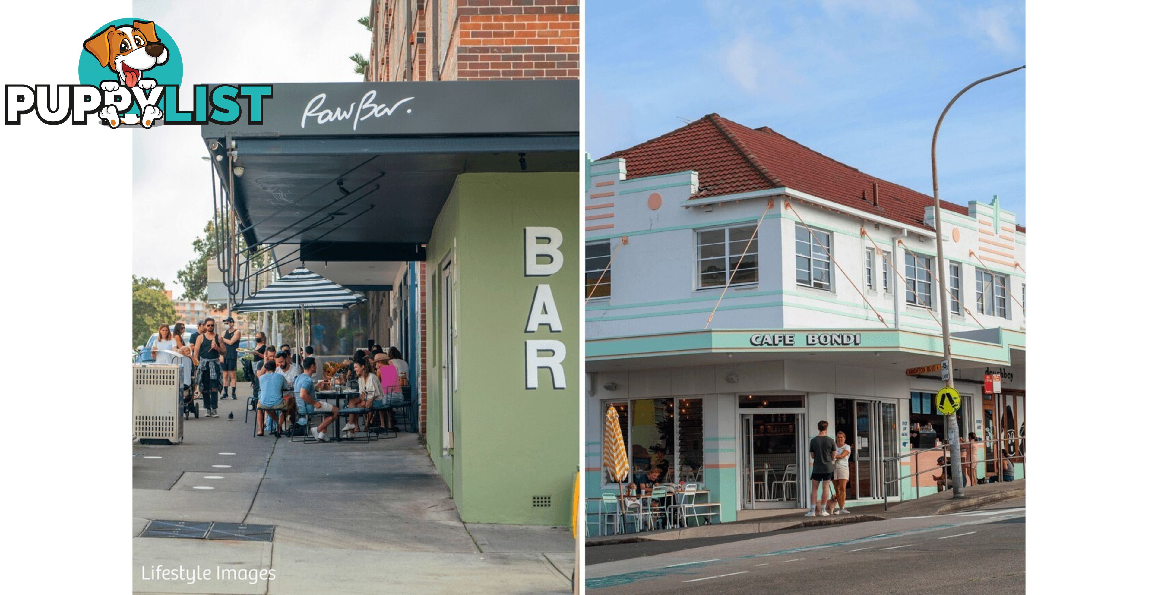 7/183 Blair Street NORTH BONDI NSW 2026