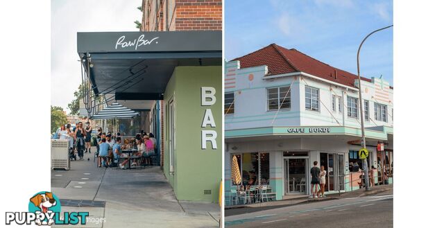 7/183 Blair Street NORTH BONDI NSW 2026