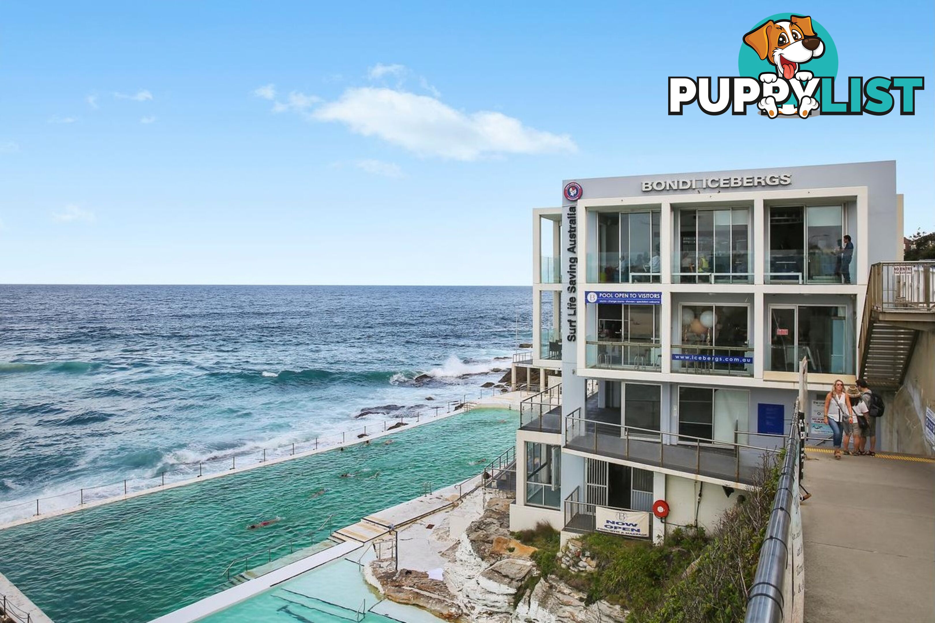 8/7-11 Henderson Street BONDI NSW 2026