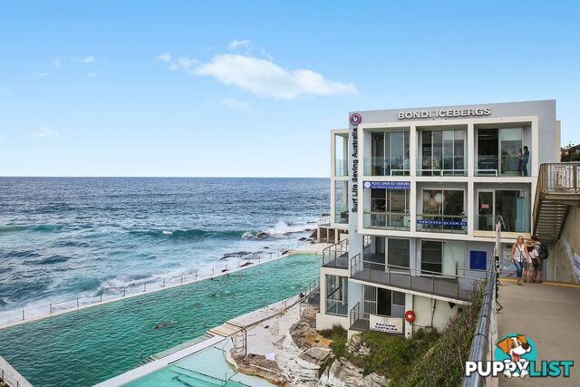 8/7-11 Henderson Street BONDI NSW 2026