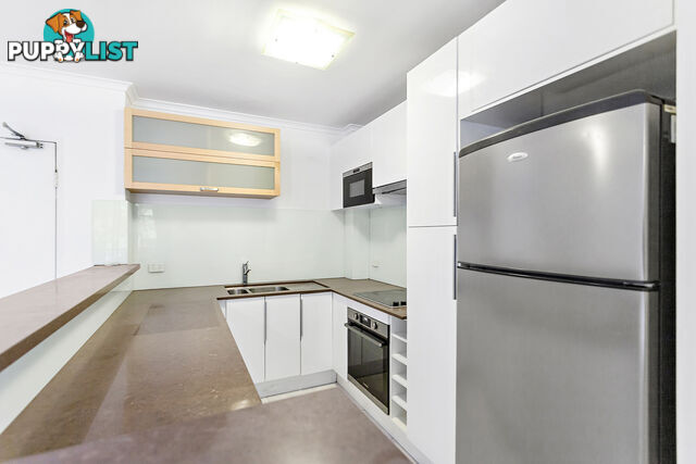 39/128-158 George Street REDFERN NSW 2016
