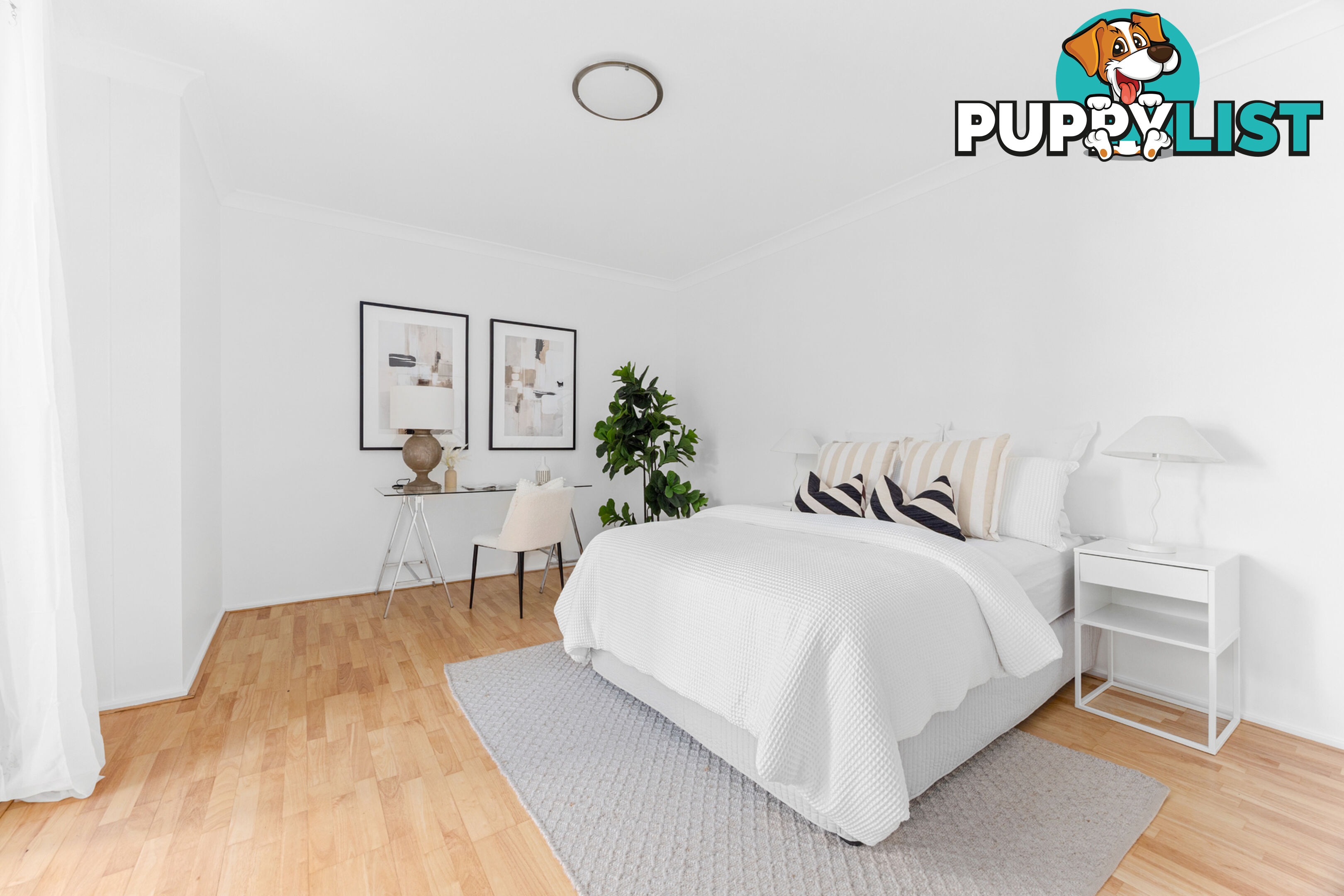 29/33-37 Ocean Street North Street BONDI NSW 2026
