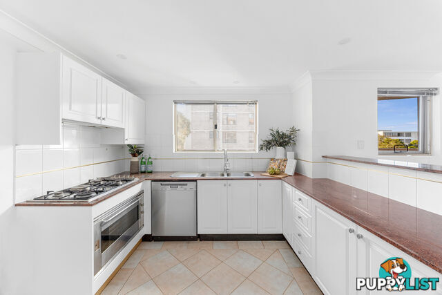 29/33-37 Ocean Street North Street BONDI NSW 2026