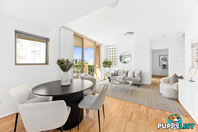 29/33-37 Ocean Street North Street BONDI NSW 2026