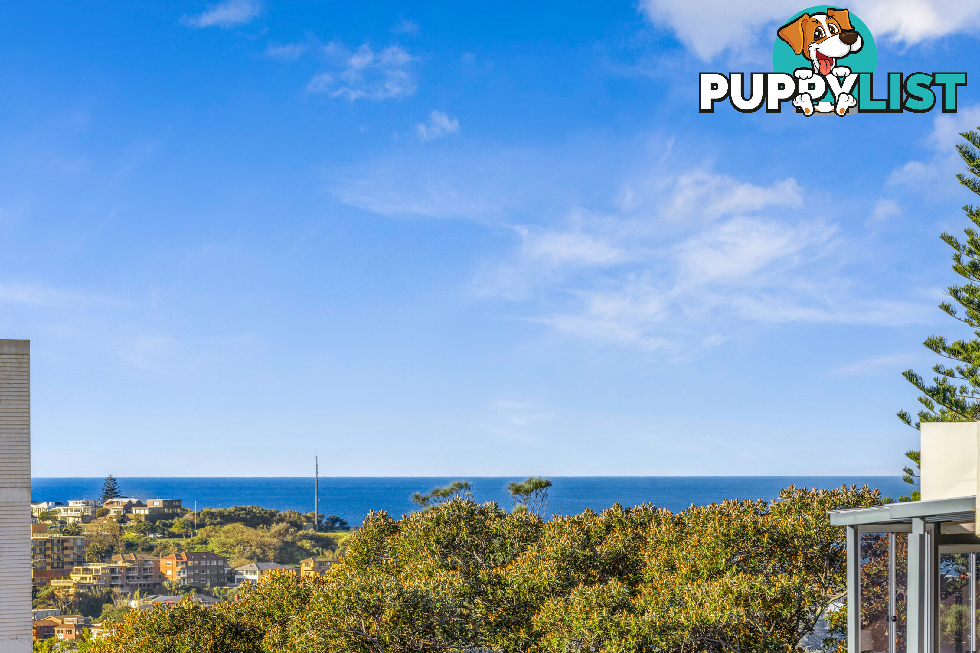 29/33-37 Ocean Street North Street BONDI NSW 2026