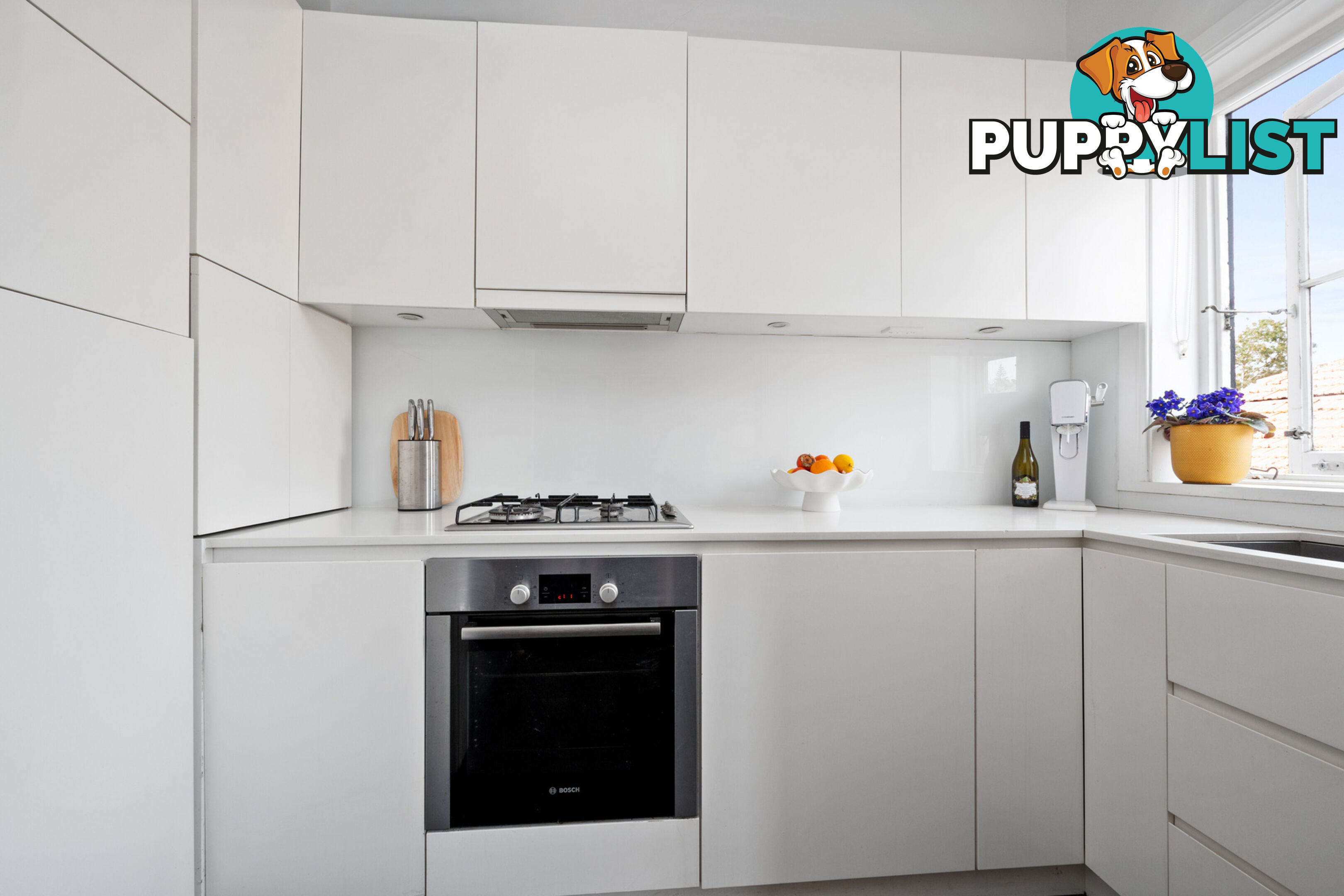 6/11 Dickson Street BRONTE NSW 2024
