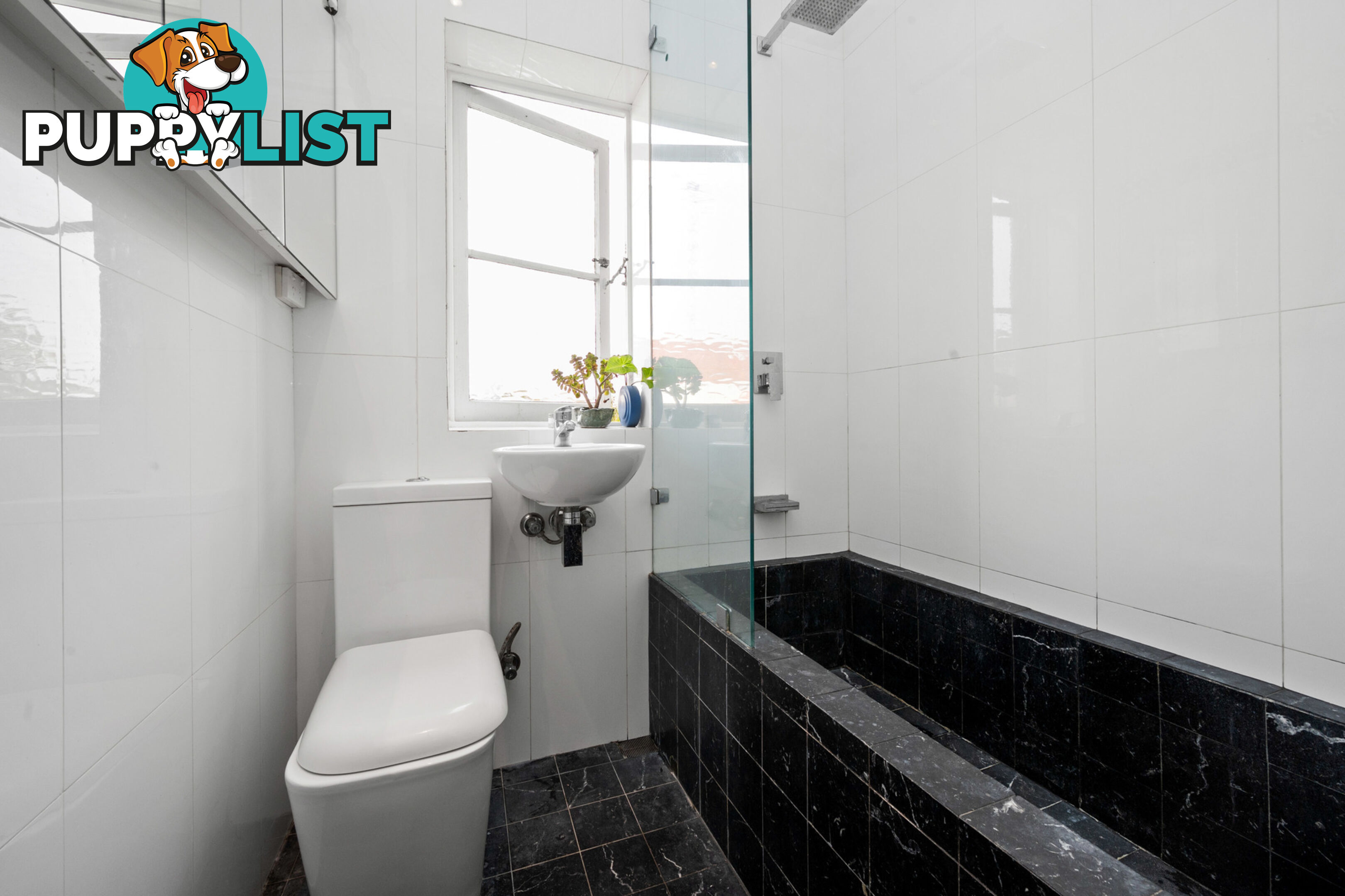 6/11 Dickson Street BRONTE NSW 2024