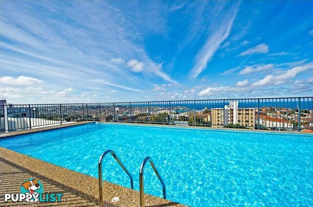 809/212 Bondi Road BONDI NSW 2026