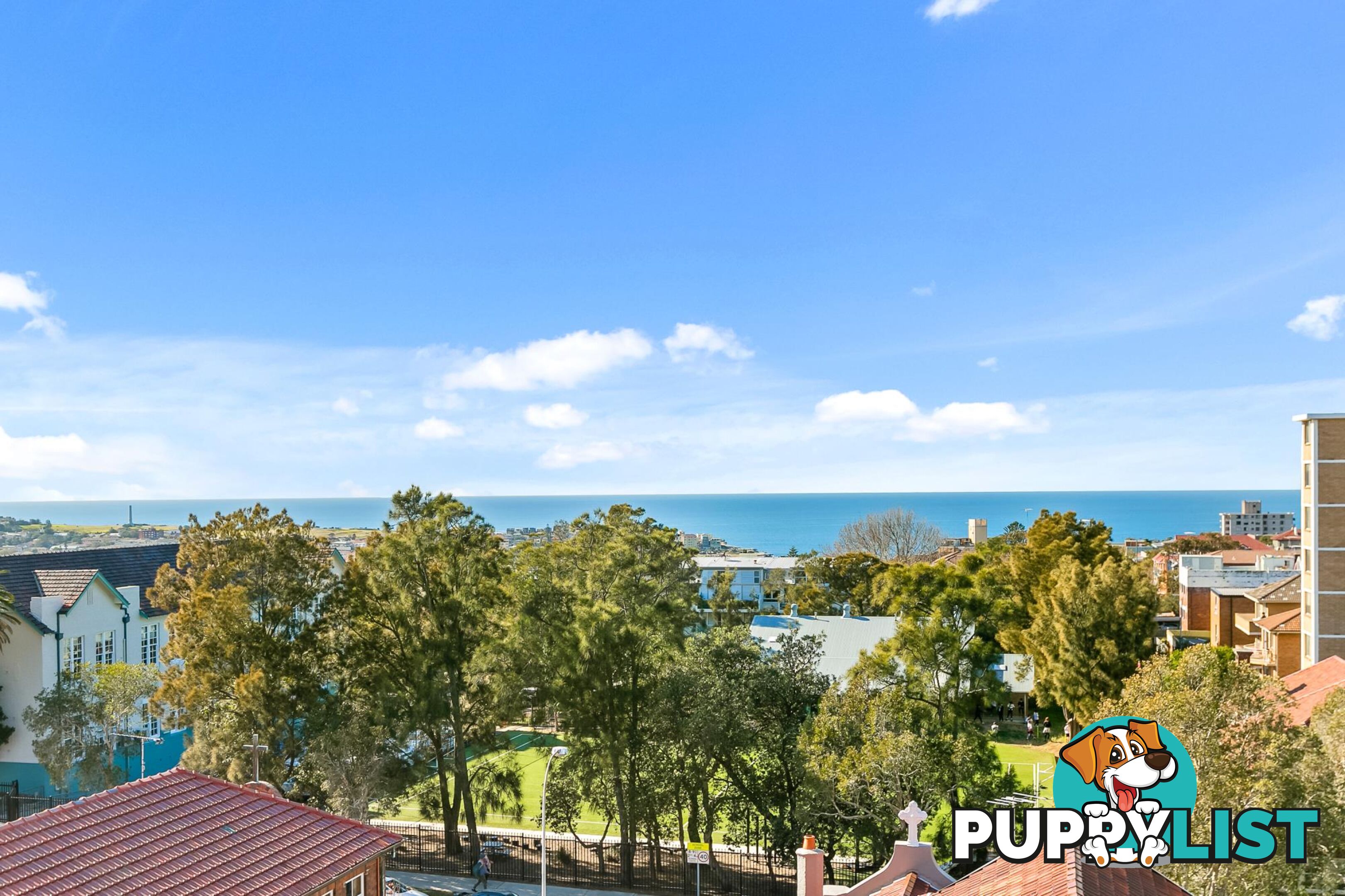 809/212 Bondi Road BONDI NSW 2026