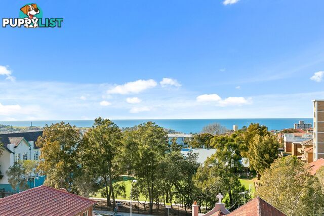 809/212 Bondi Road BONDI NSW 2026