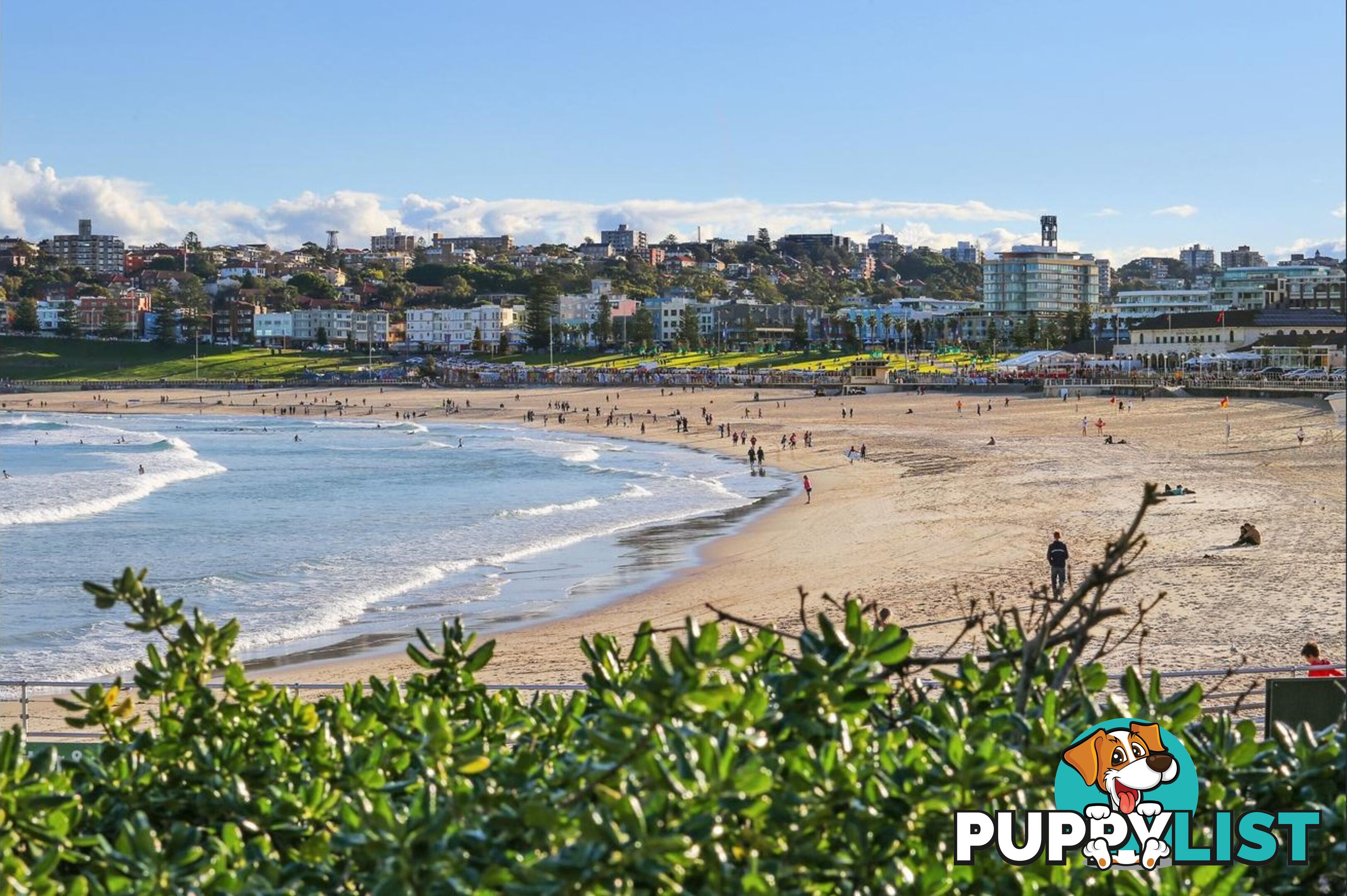 809/212 Bondi Road BONDI NSW 2026