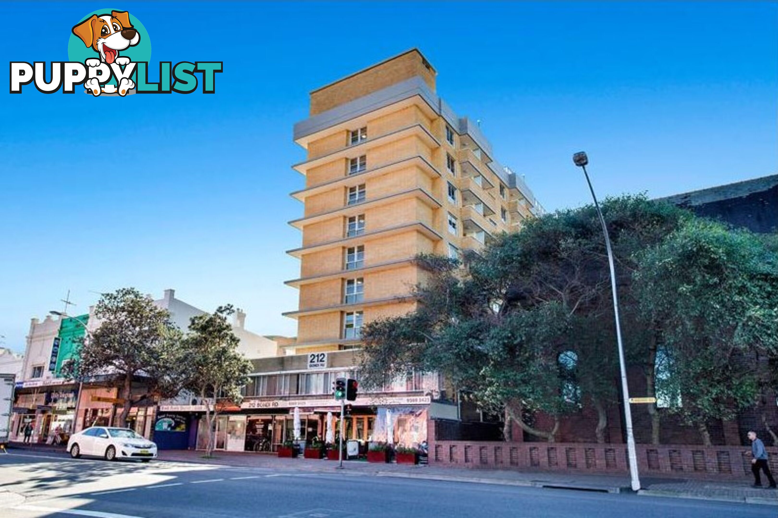 809/212 Bondi Road BONDI NSW 2026