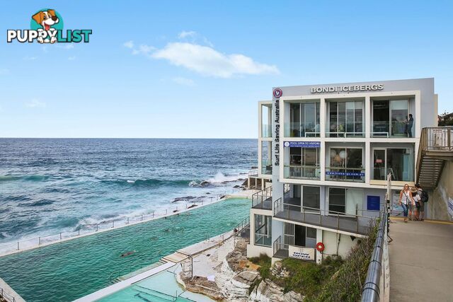 809/212 Bondi Road BONDI NSW 2026