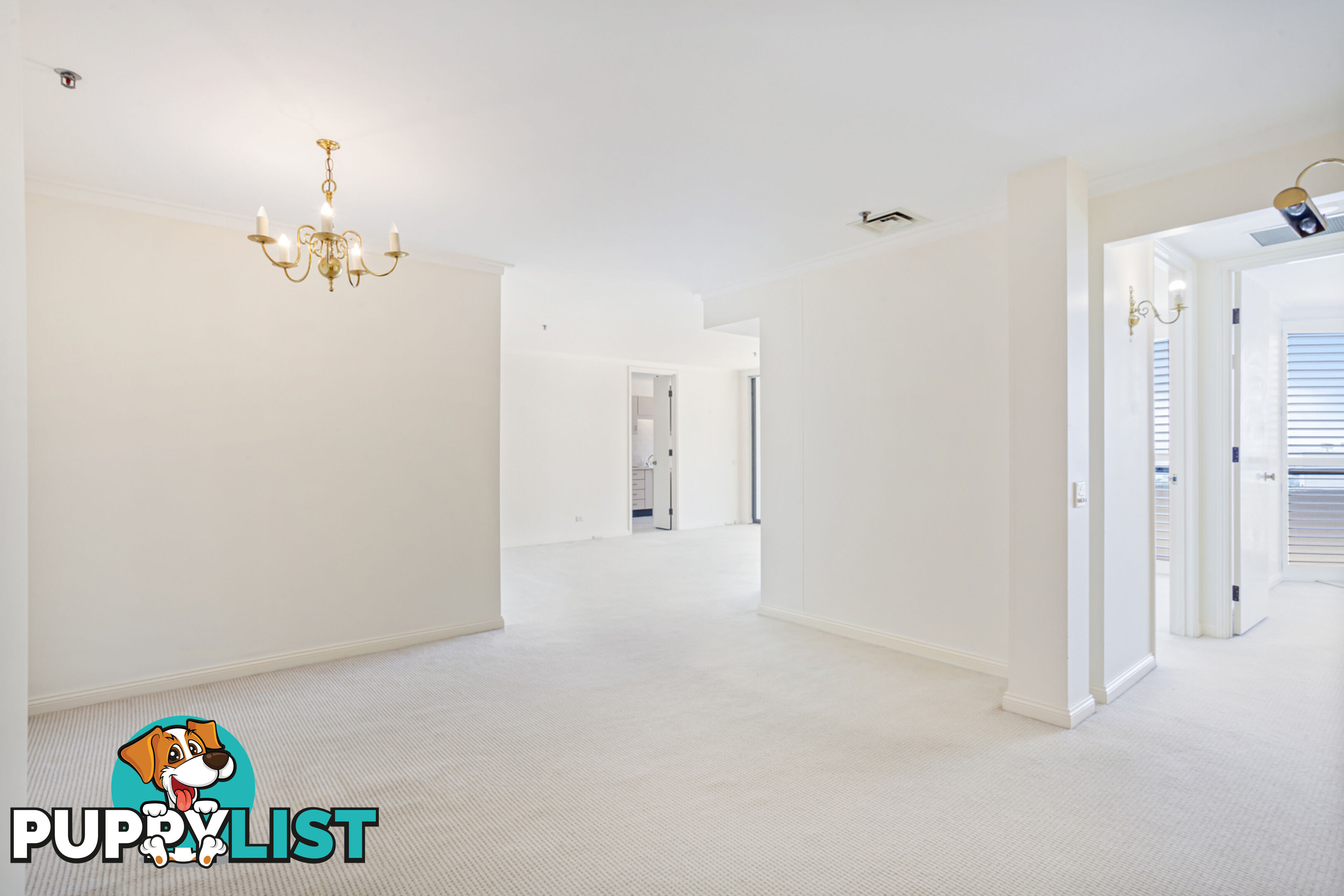 1406/71-73 Spring Street BONDI JUNCTION NSW 2022