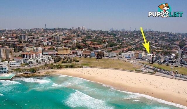 2/90-94 Campbell Parade BONDI BEACH NSW 2026