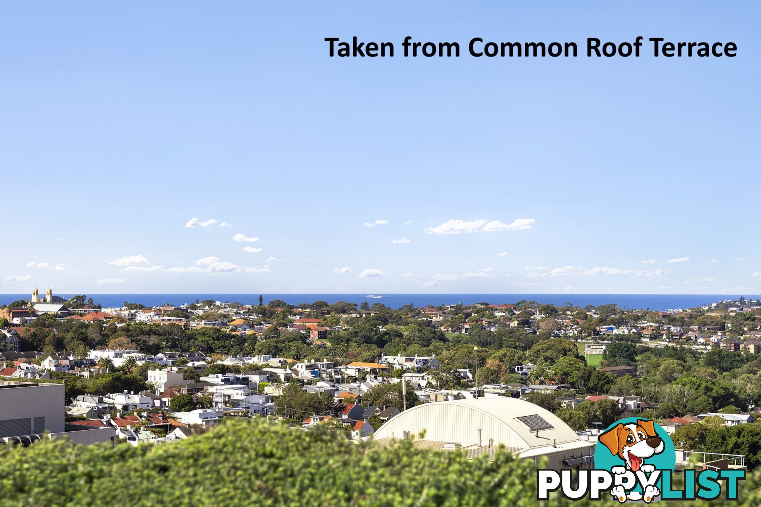 405/59 Oxford Street BONDI JUNCTION NSW 2022