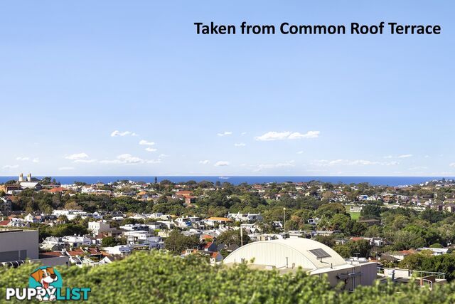 405/59 Oxford Street BONDI JUNCTION NSW 2022