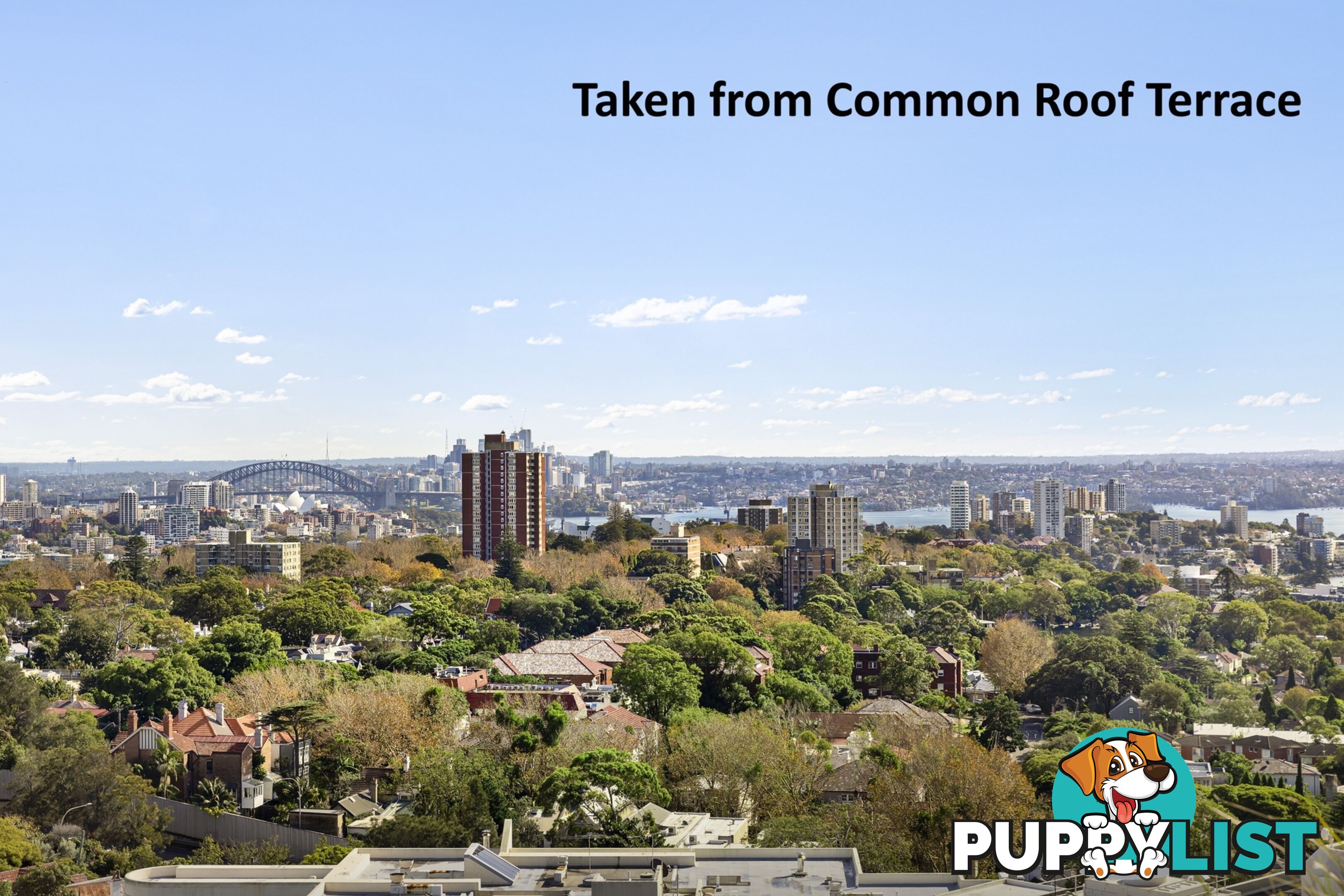 405/59 Oxford Street BONDI JUNCTION NSW 2022