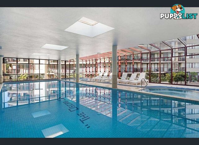 133/18-34 Waverley Street BONDI JUNCTION NSW 2022