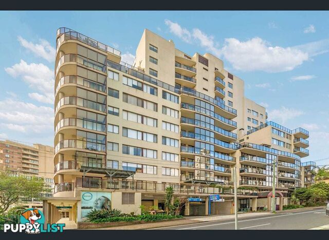 133/18-34 Waverley Street BONDI JUNCTION NSW 2022